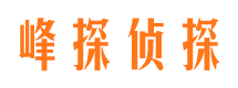 临城市调查取证